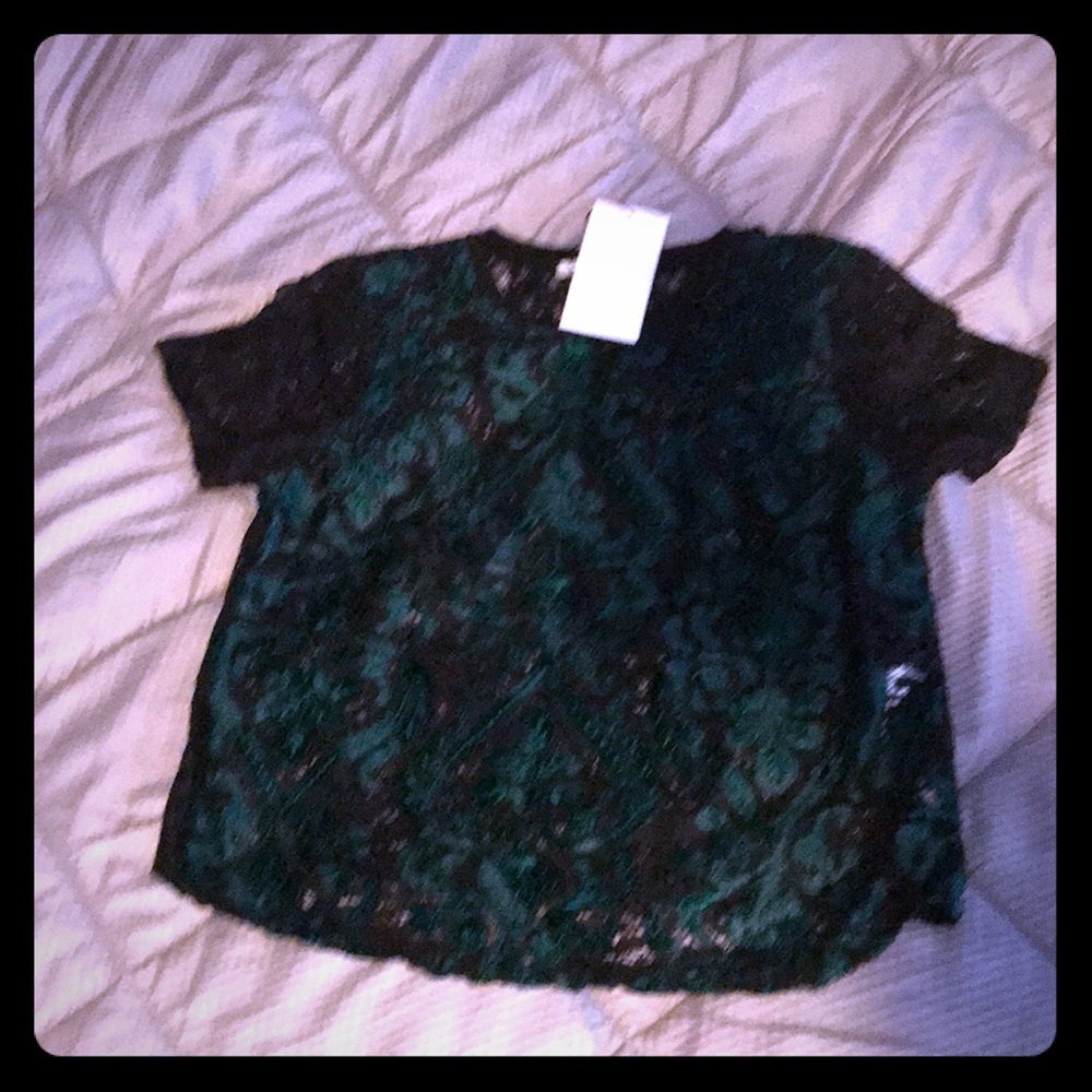 Zara cropped lace top